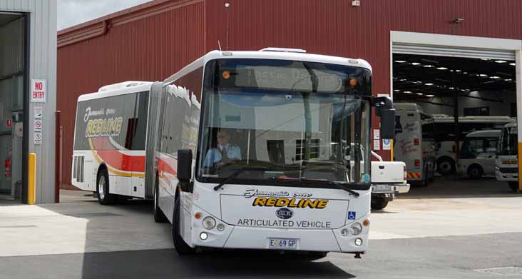 Tasmanian Redline Bonluck CityStar Artic 120